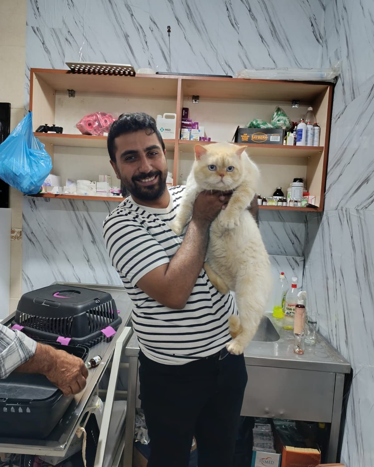Kırşehir veteriner kliniği - Karakurt Veteriner Kliniği'nde evcil hayvan tedavisi