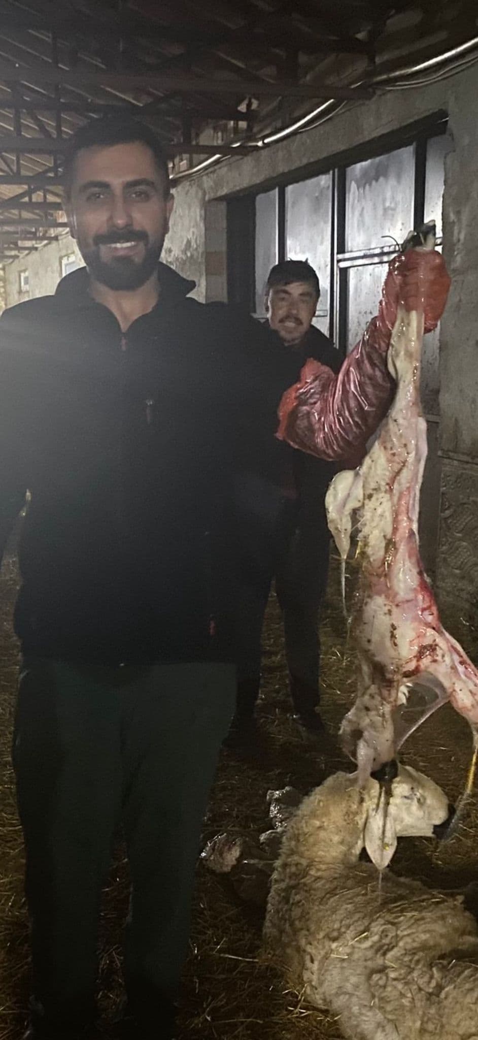 Küçükbaş hayvan doğumu - veteriner hekim müdahalesi